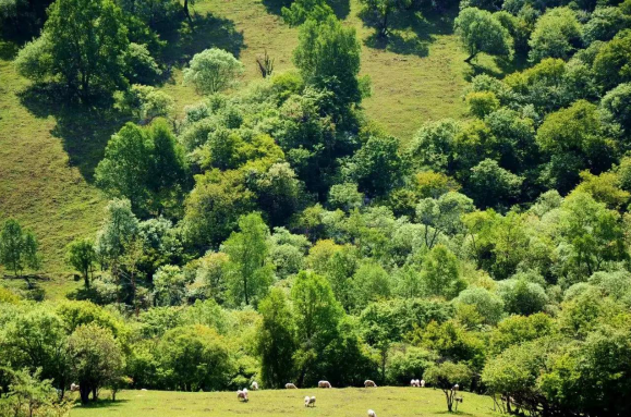 008PG国际(中国区)-官方网站