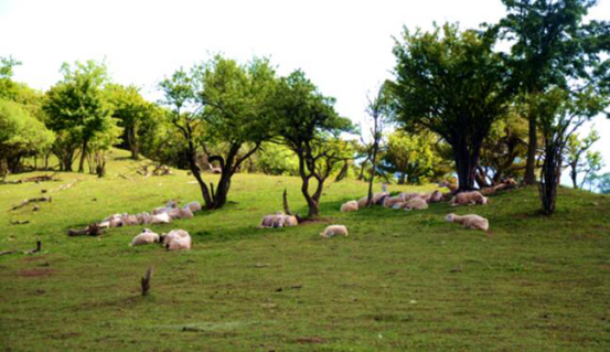 008PG国际(中国区)-官方网站