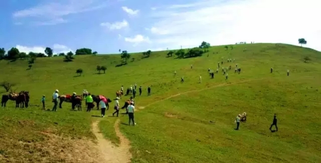 008PG国际(中国区)-官方网站