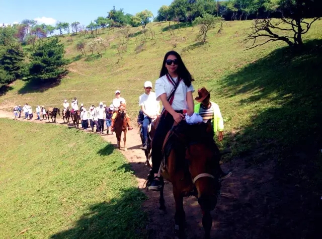 008PG国际(中国区)-官方网站