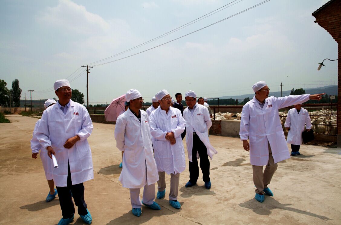 008PG国际(中国区)-官方网站