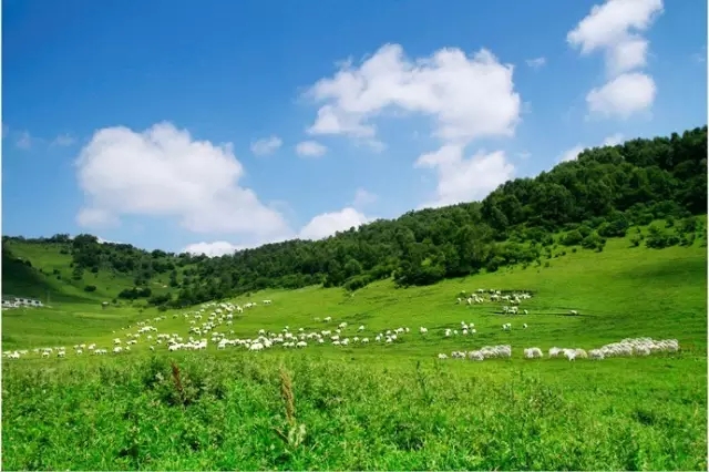 008PG国际(中国区)-官方网站