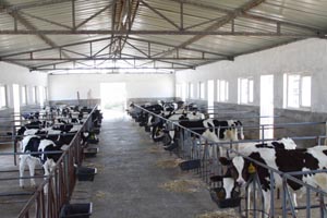 008PG����(�й���)-�ٷ���վ