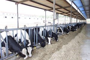 008PG����(�й���)-�ٷ���վ