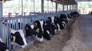 008PG����(�й���)-�ٷ���վ