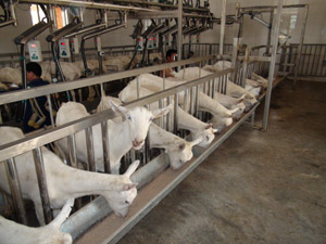 008PG����(�й���)-�ٷ���վ