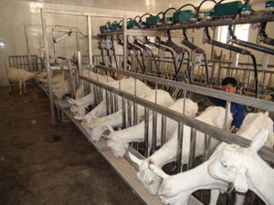 008PG����(�й���)-�ٷ���վ