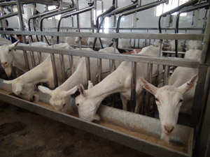 008PG����(�й���)-�ٷ���վ